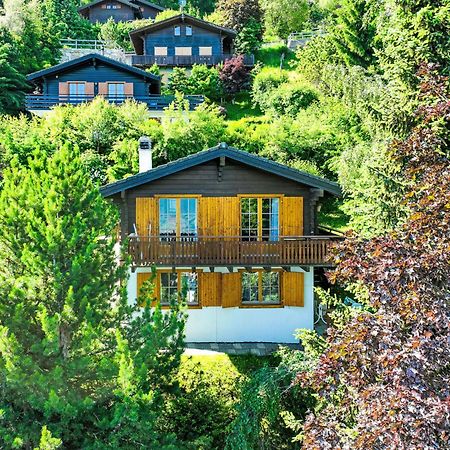 Chalet Magicien By Interhome Nendaz Ngoại thất bức ảnh
