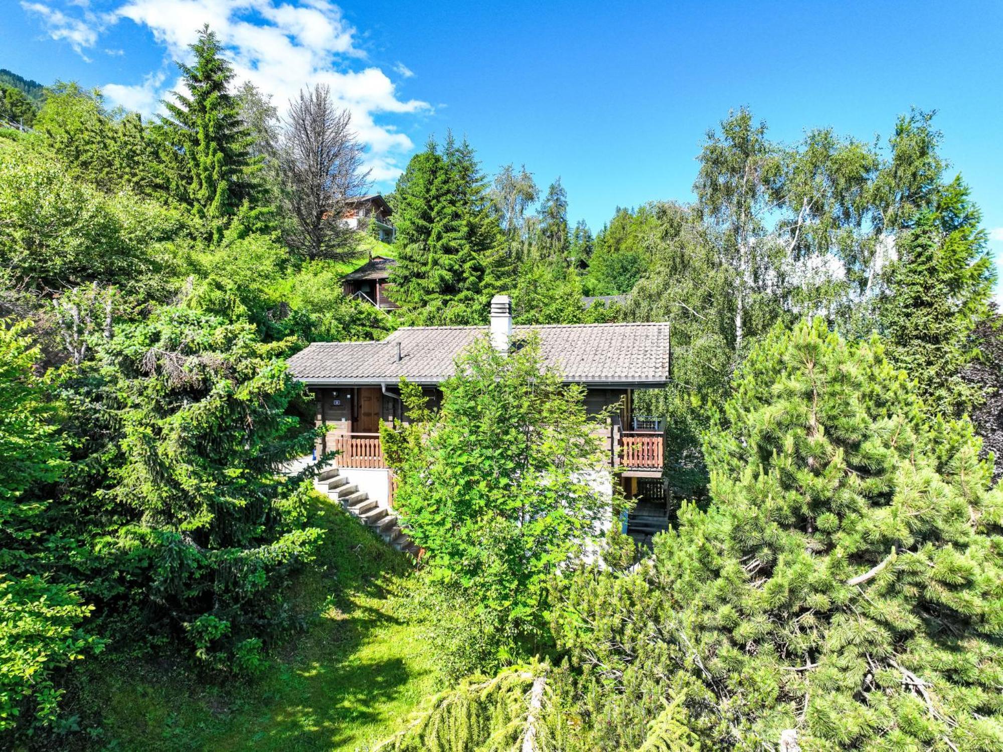 Chalet Magicien By Interhome Nendaz Ngoại thất bức ảnh